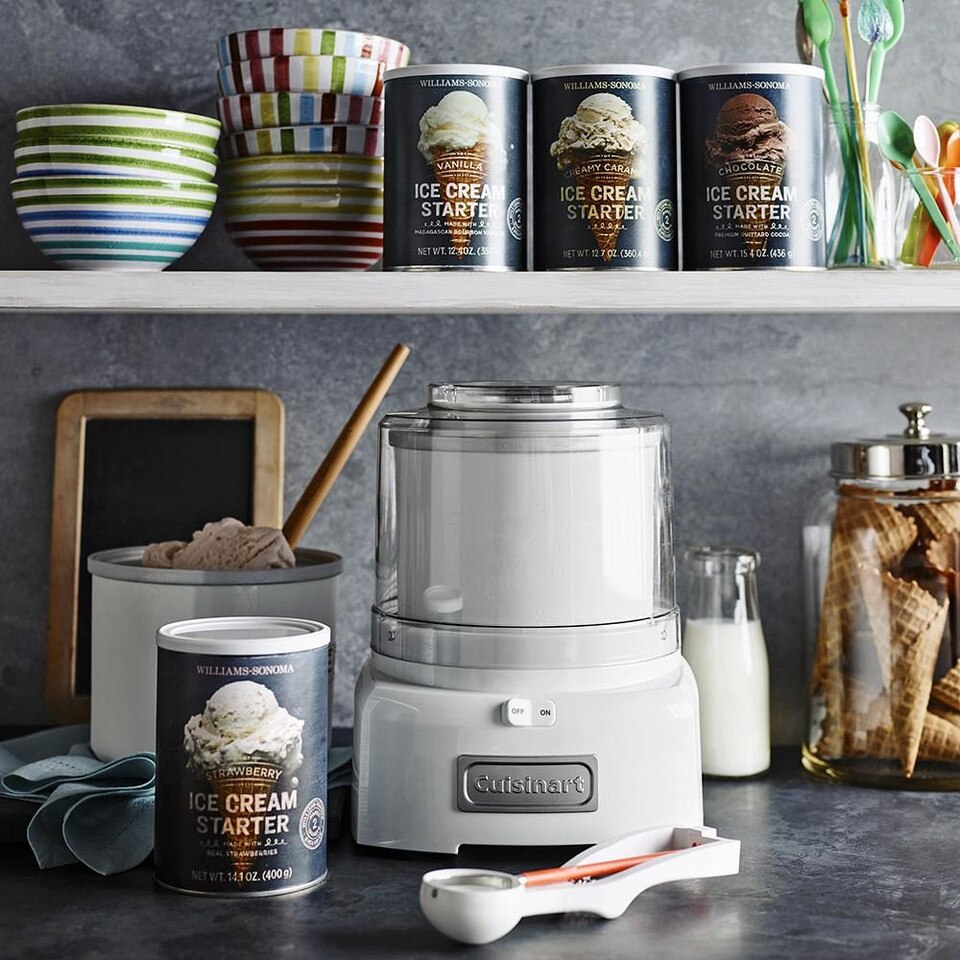 Williams Sonoma Ice Cream Starter, Creamy Caramel Williams Sonoma